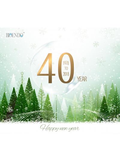 Happy Holidays! Happy New Year!