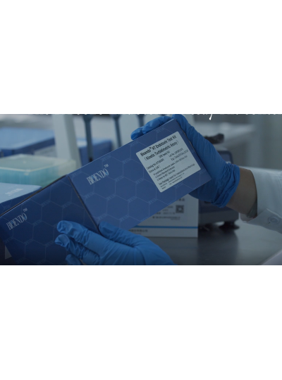 Features of the kinetic turbidimetric endotoxin test assay to test endotoxins in the samples