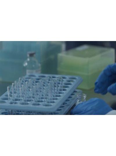 Glass tubes with depyrogenation treatment to ensure that is endotoxin-free glass tubes